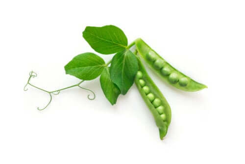 Nutritional Information and Health Benefits of Peas