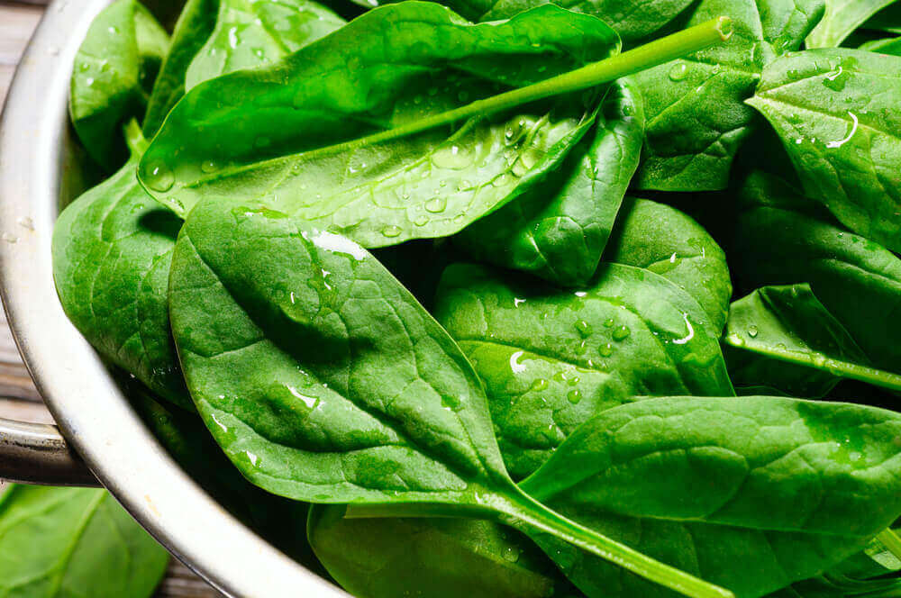 A bowl of freshly washed spinach leaves.