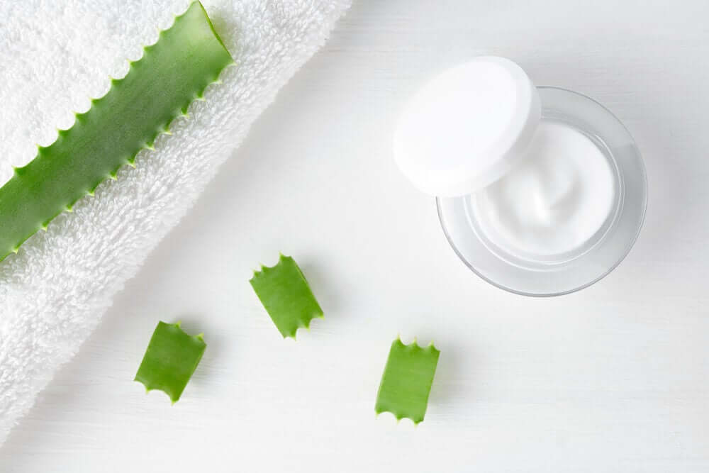 Pieces of aloe plant and a jar of lotion.