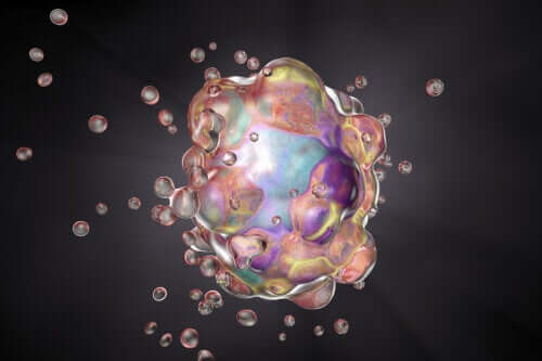 The Differences Between Apoptosis and Necrosis