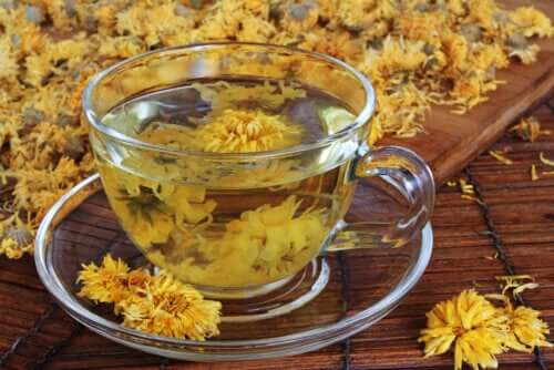 Chrysanthemum Tea: Benefits and Precautions