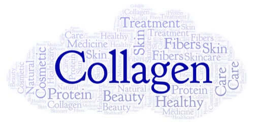 The Purpose and Sources of Collagen