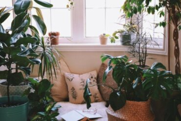 Ideas for Creating a Relaxing Corner at Home - Step To Health