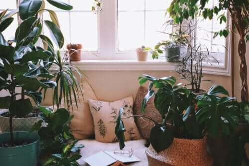 Ideas for Creating a Relaxing Corner at Home