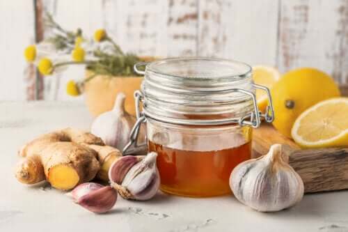 How to Make Garlic Honey to Fight Respiratory Problems