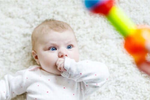 Discover Why Babies Stare