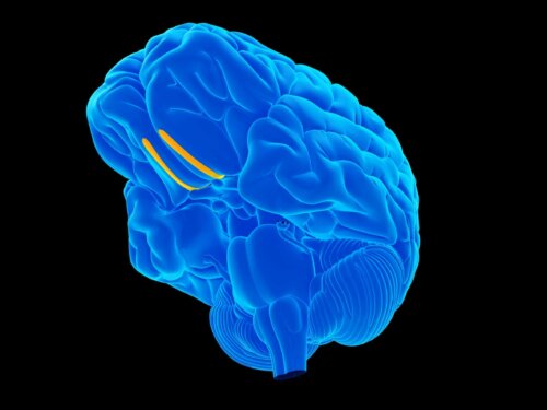 A blue brain in a black background.