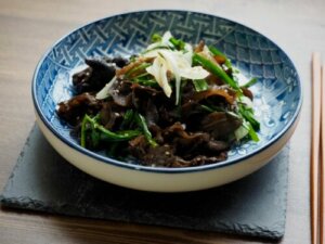 The Properties of Black Fungus and Its Applications