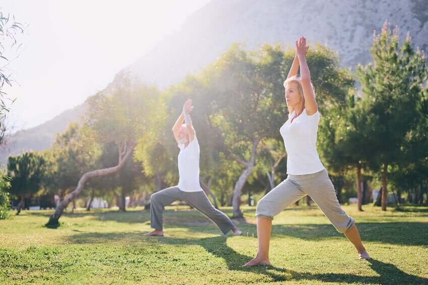 Et par dyrker tai chi udenfor