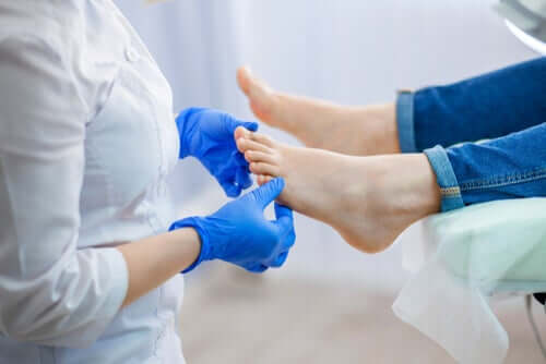 Description and Characteristics of Chiropody