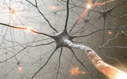 A network of neurons.
