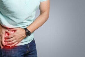 Characteristics and Function of the Appendix