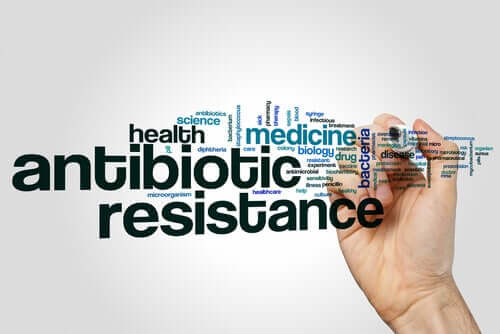 Ways to Identify Penicillin Resistance