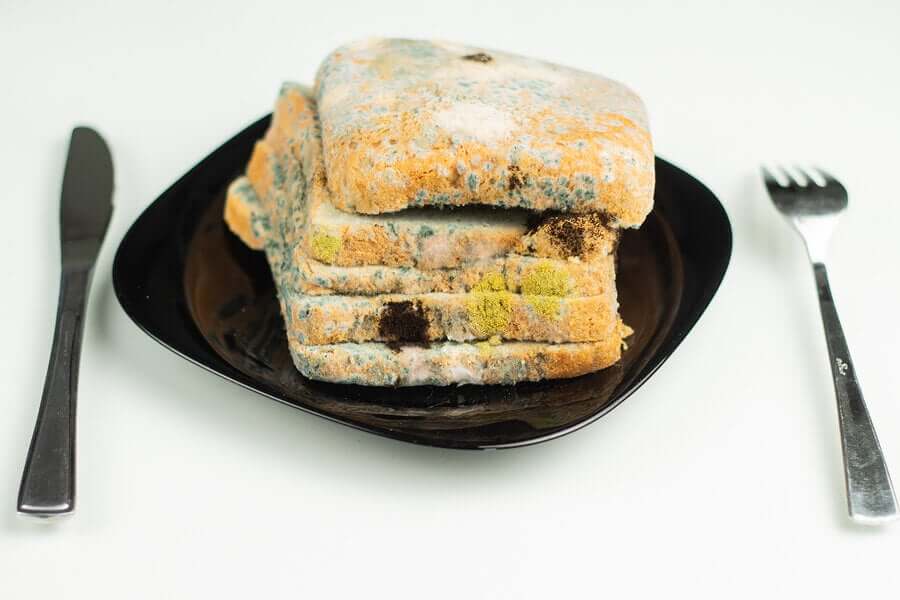 Bread covered in mold