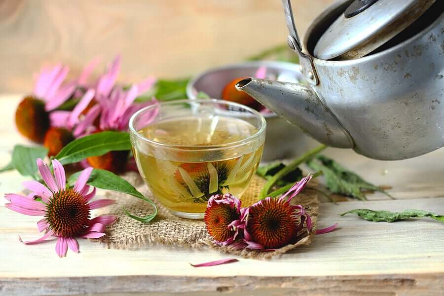Echinacea tea.