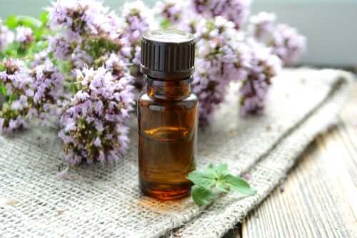 Essential Oils For Winter Illnesses