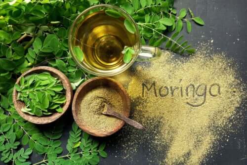 The Characteristics of Moringa Oil and Its Uses