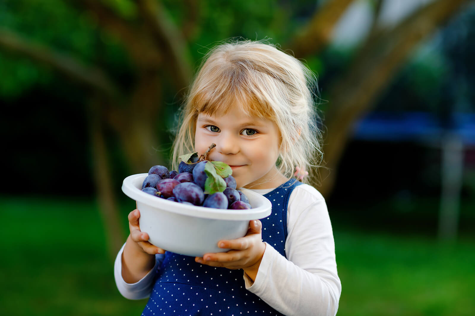 A little girl holding a bowl of fresh fruit.