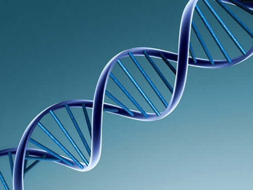 En DNA -streng.