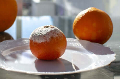 Is Mold in Food Dangerous?