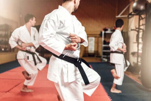 The Differences Between Karate and Taekwondo