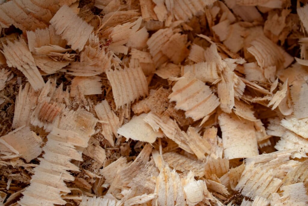 A pile of sawdust.