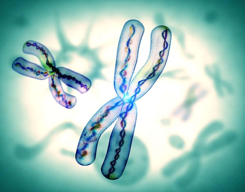 Et digitalt bilde av kromosomer.