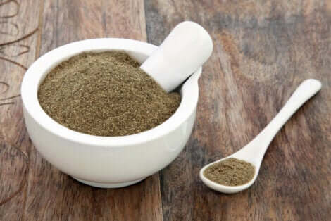 gymnema sylvestre properties