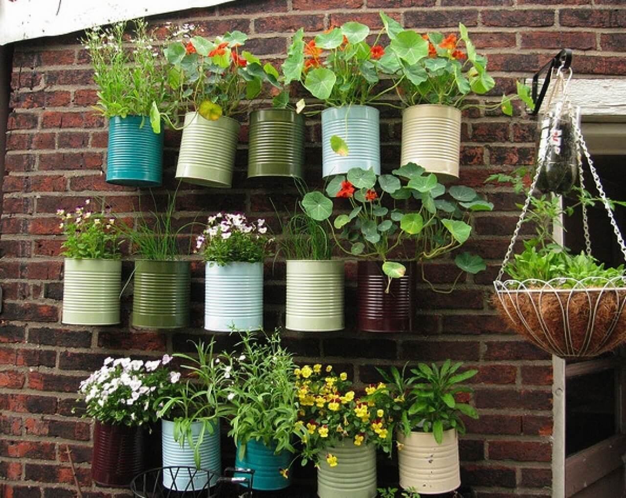 An urban garden.