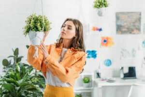 How to Make Homemade Hanging Planters for Your Plants