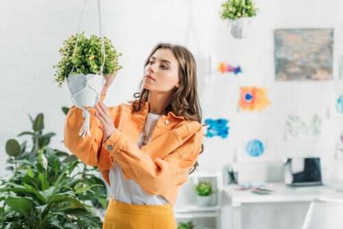 How to Make Homemade Hanging Planters for Your Plants