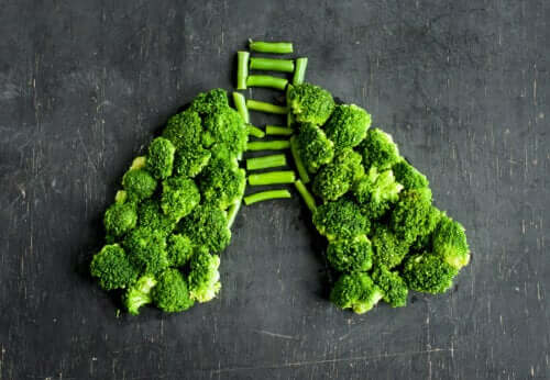 Foods Against Lung Inflammation