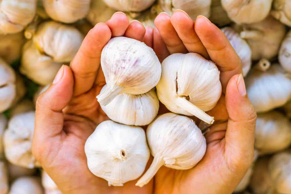 handful of garlic