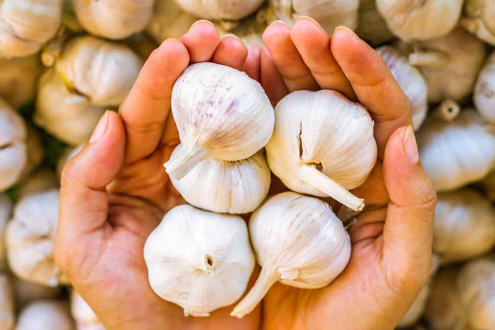 Handvoll Knoblauch