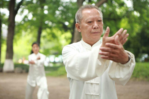 To mennesker dyrker Tai Chi