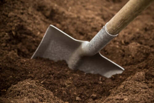 Types of Garden Soil and Their Characteristics