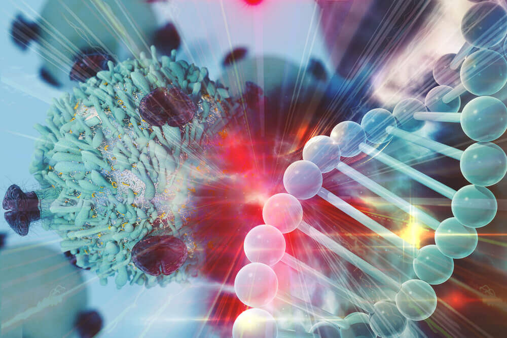 The immune system fighting cancer cells.