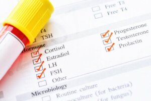 Types of Hormones: Which Are the Most Important?