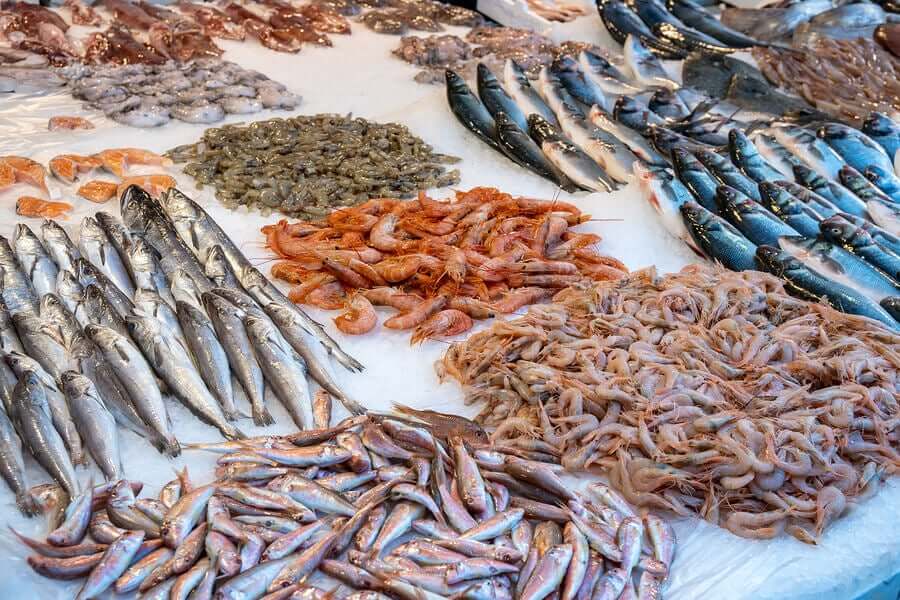 Verzehr von Meeresfrüchten - verschiedene Meeresfrüchte und Fische