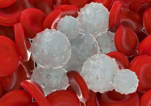 White and red blood cells.
