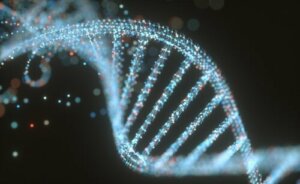 The Differences Between DNA and RNA