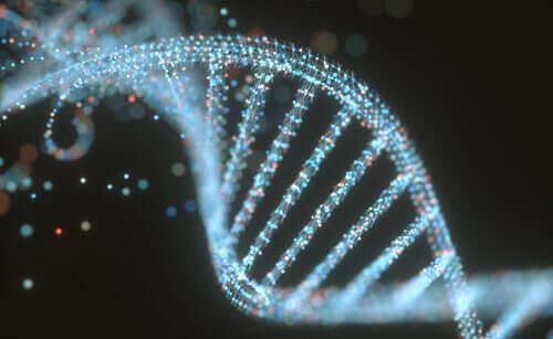 The Differences Between DNA and RNA