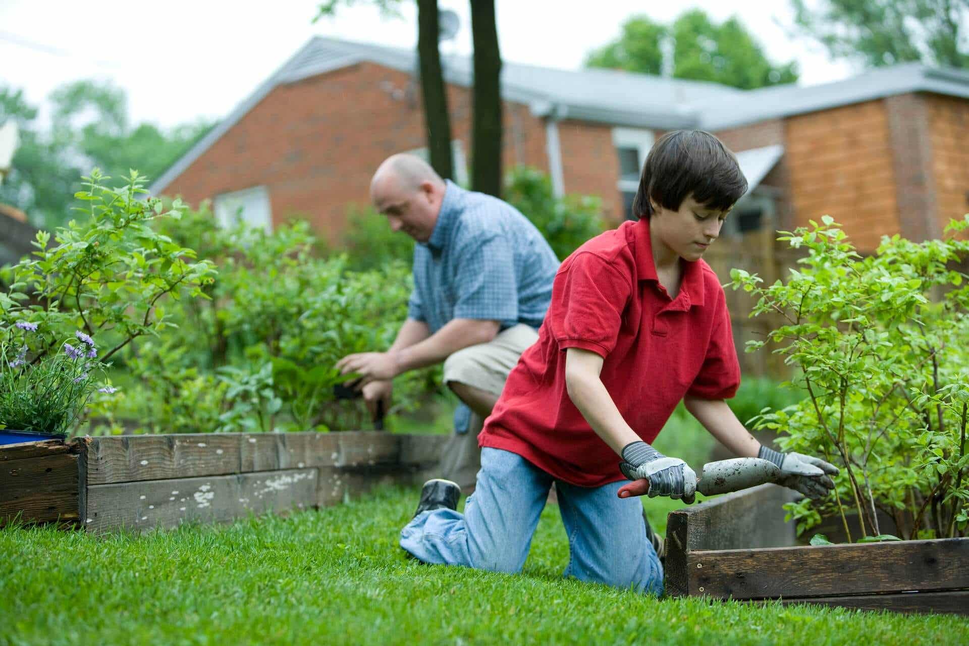 Chłopiec pracuje na ogrodzie z dziadkiem
