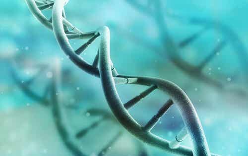 A helix structure.