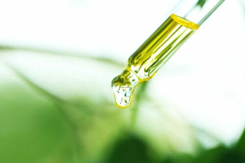 Copaiba Oil: Uses, Benefits, and Contraindications