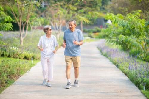 A Recommended Exercise Plan for Older Adults