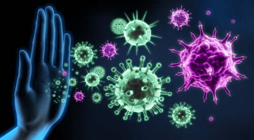 What Does the Term Immunosuppressed Mean?
