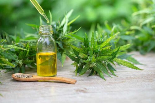 Ulike former for cannabis.