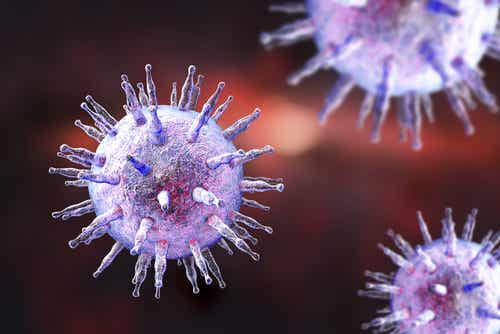 En virus