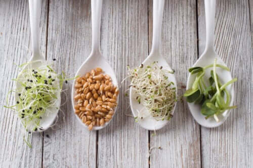 Different Sprouts: Benefits, Risks and Preparation